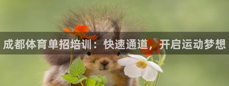 耀世娱乐老板：成都体育单招培训：快速通道，开启运动梦