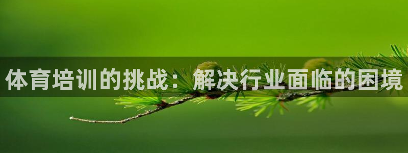 耀世登场后面一句：体育培训的挑战：解决行业面临的困境