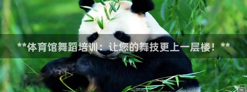 耀世天下的是什么意思：**体育馆舞蹈培训：让您的舞技