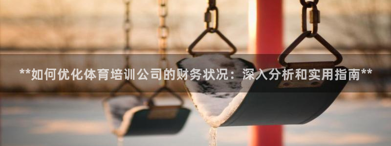 耀世平台注册开户：**如何优化体育培训公司的财务状况