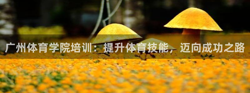 耀世开放什么意思：广州体育学院培训：提升体育技能，迈