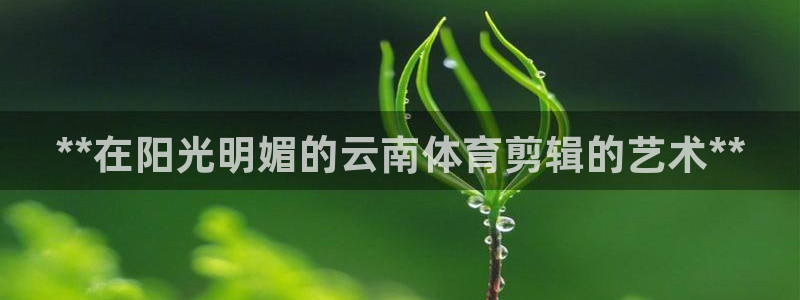 耀世娱乐赢咖6代理：**在阳光明媚的云南体育剪辑的艺