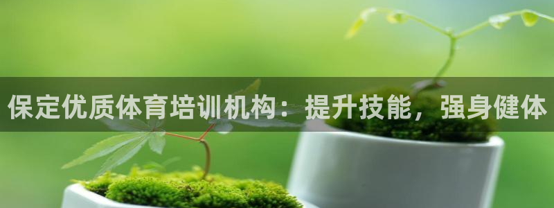 耀世盛启什么意思：保定优质体育培训机构：提升技能，强