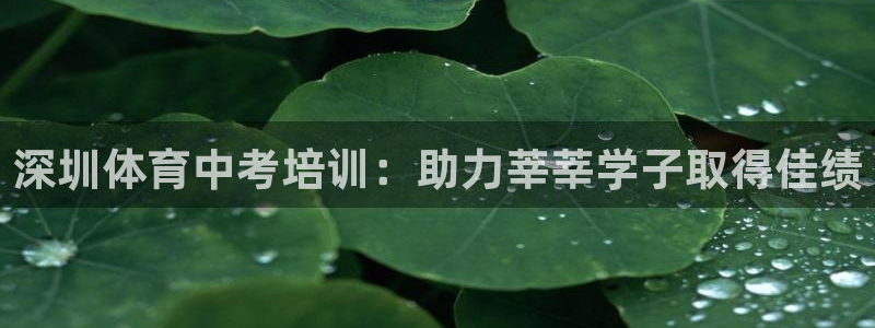 耀世国际平台正规吗可靠吗可信吗：深圳体育中考培训：助
