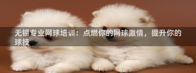 耀世平台遇 411o31 平台：无锡专业网球培训：点