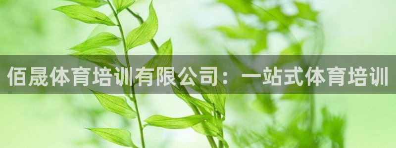 耀世集团商业联盟罗文斌：佰晟体育培训有限公司：一站式