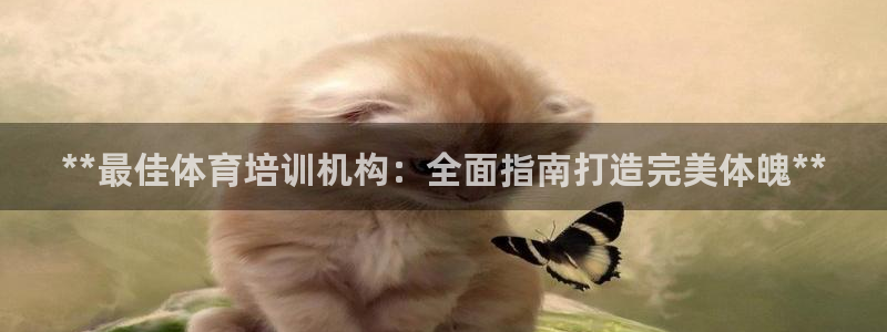 耀世集团董事长简介：**最佳体育培训机构：全面指南打