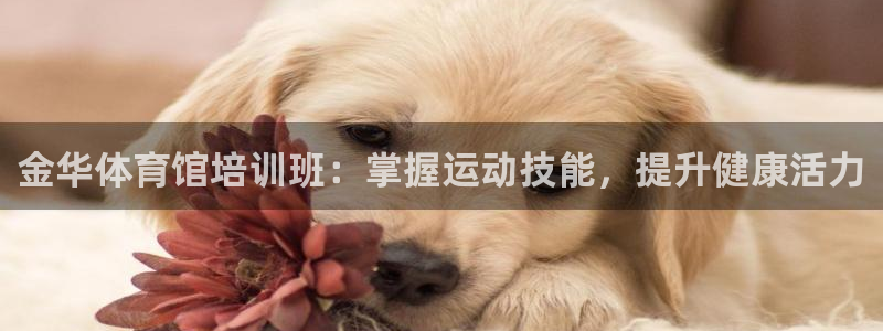 耀世娱乐注册开户流程：金华体育馆培训班：掌握运动技能