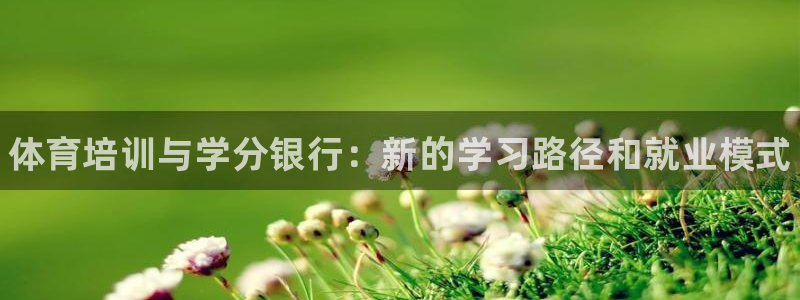耀世娱乐下载最新版本安装包