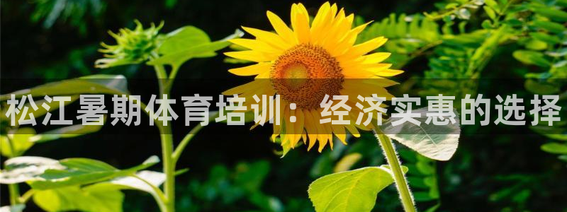 耀世娱乐官网首页登录：松江暑期体育培训：经济实惠的选择