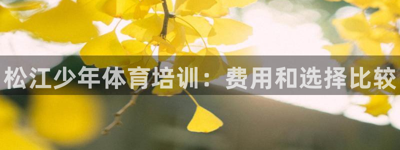 耀世娱乐中国创新：松江少年体育培训：费用和选择比较