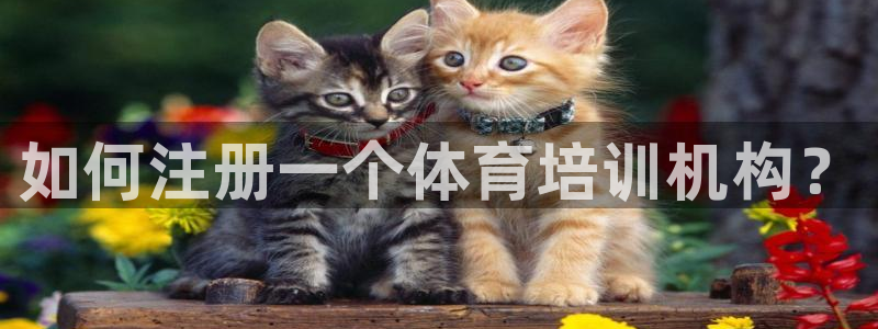 耀世平台先 585341 耀世：如何注册一个体育培训