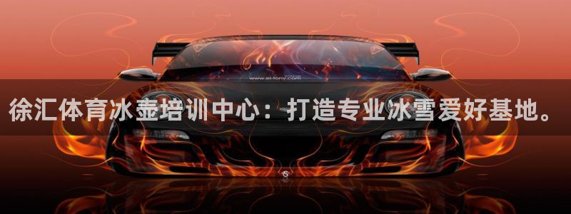 耀世国际平台正规吗可靠吗安全吗：徐汇体育冰壶培训中心