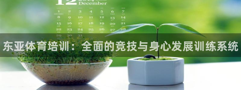 耀世天下和如日中天哪个好：东亚体育培训：全面的竞技与