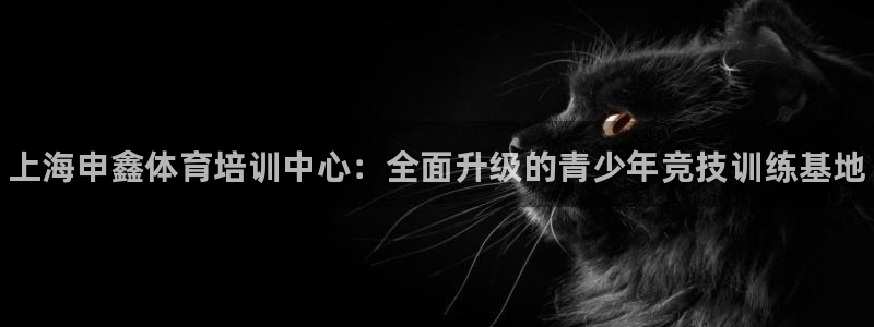 耀世娱乐客服电话：上海申鑫体育培训中心：全面升级的青