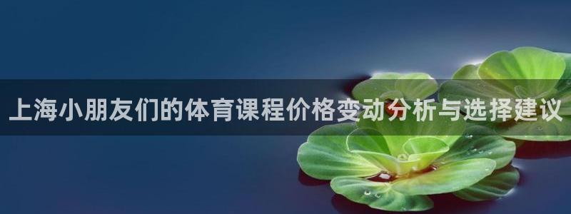 耀世开盘是什么意思：上海小朋友们的体育课程价格变动分析与选择