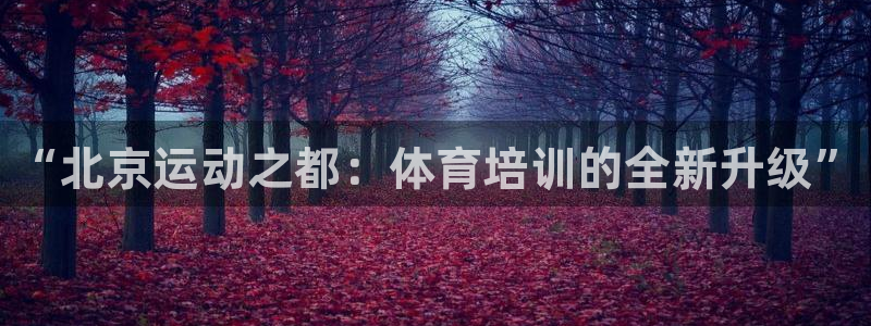 耀世娱乐黑钱吗是真的吗：“北京运动之都：体育培训的全新升级”